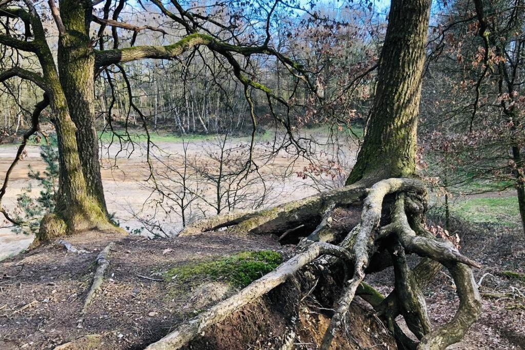 Vakantiebungalow In Bosrijke Omgeving Luttenberg Villa Exteriör bild